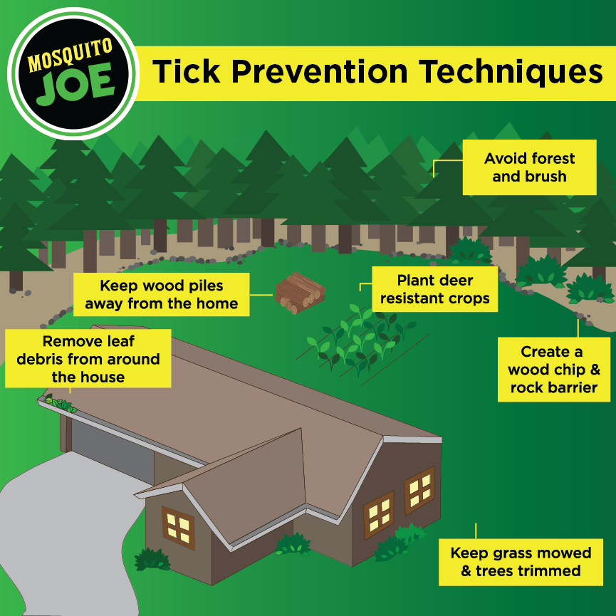 Tick Prevention Techniques and Tips for a residential homeowner