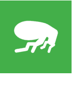 flea control icon